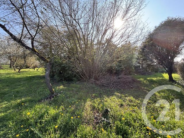 terrain à vendre - 787.0 m2 - MENNECY - 91 - ILE-DE-FRANCE - Century 21 J.M. Conseil